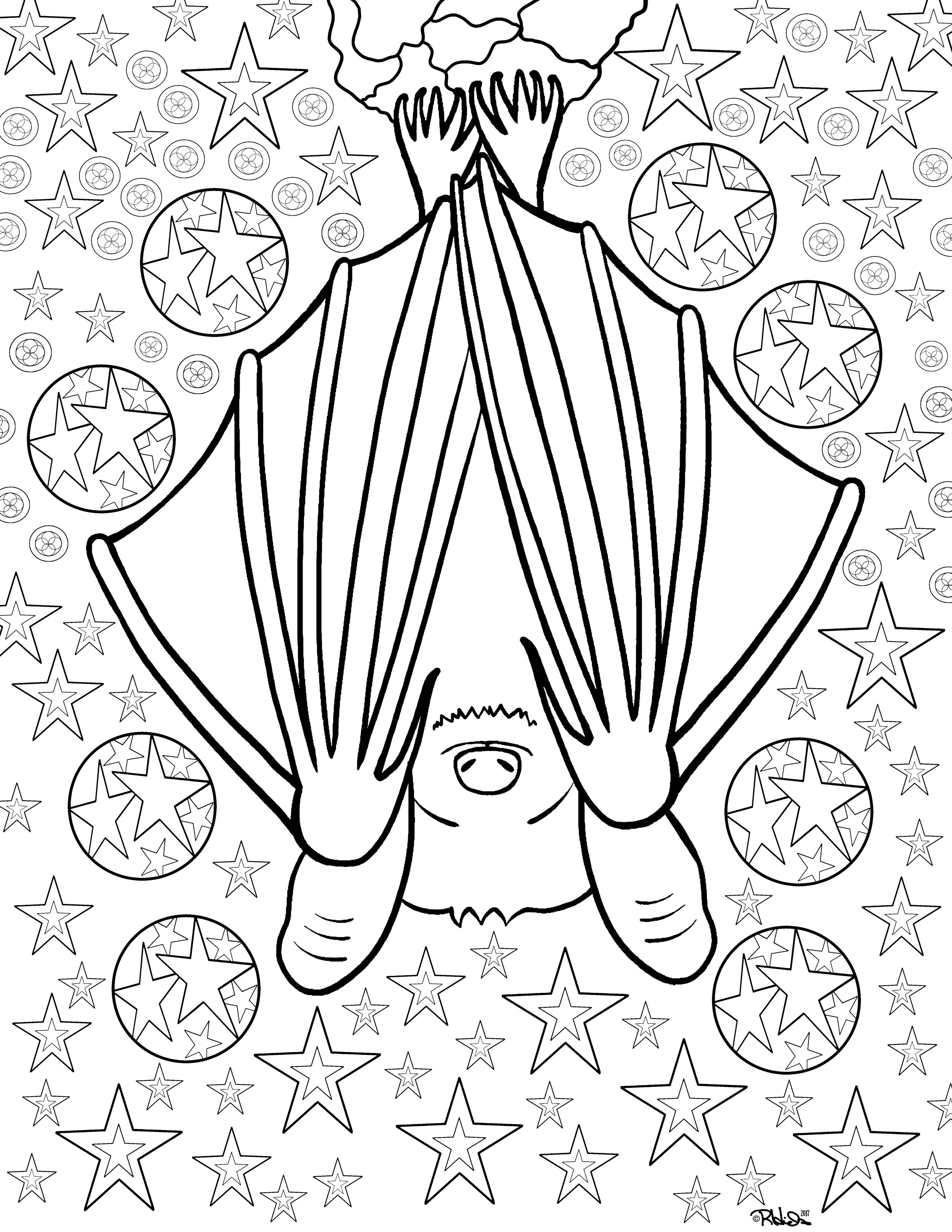 Coloring book page depicting a bat hanging upside down