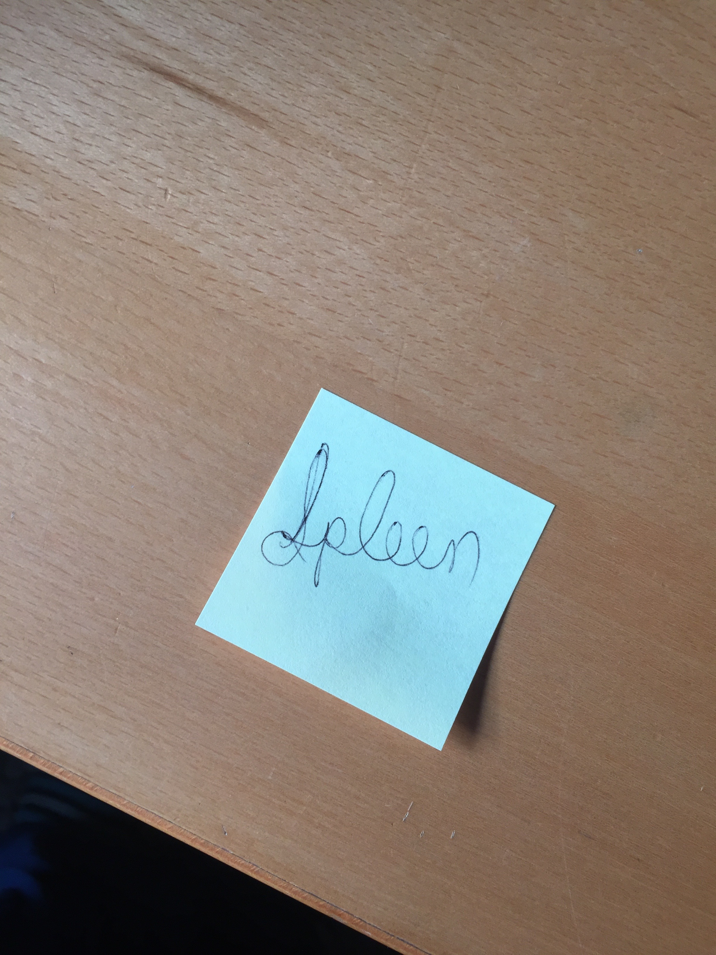 Photo of a Post-It note with the word “Spleen” written on it